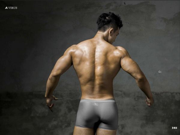 A-VIRUS-vol.04--ebook--video